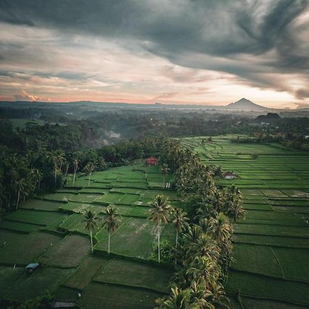Hotel Ayu Duwur Beji Ubud Exterior foto