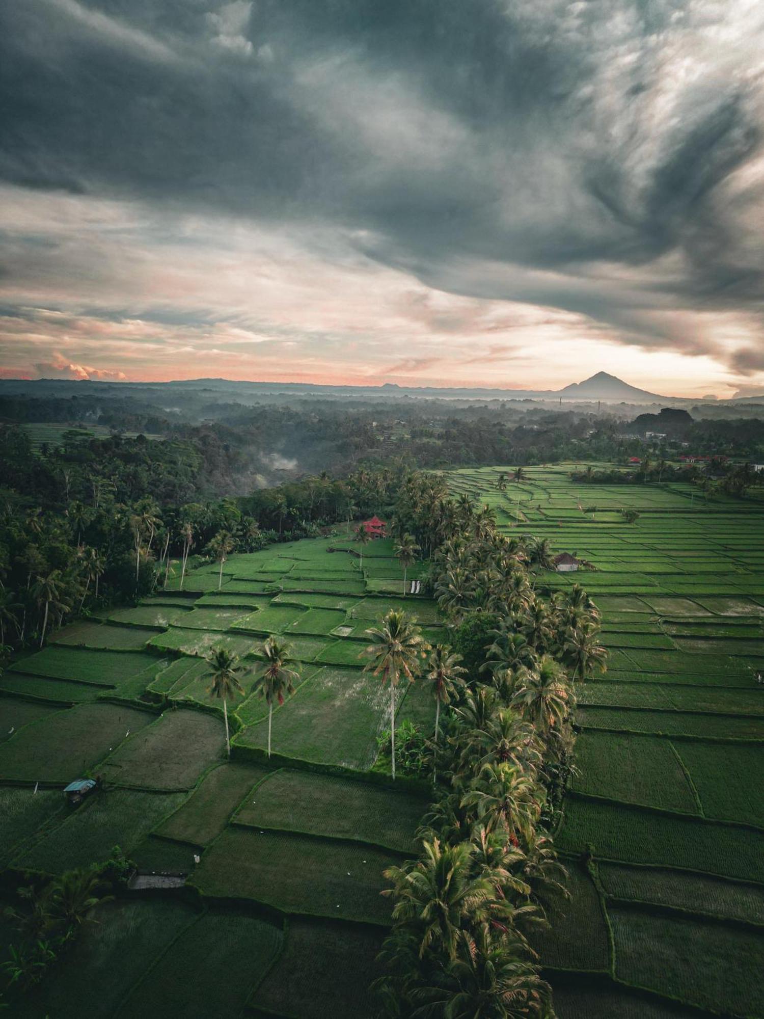 Hotel Ayu Duwur Beji Ubud Exterior foto